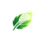CareerMint